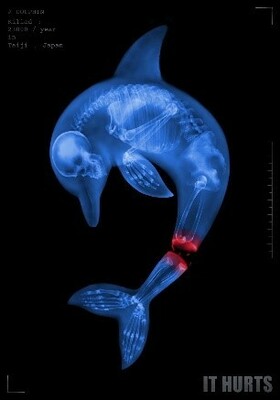 視傳系11件作品，入選國際二大海報設計獎！